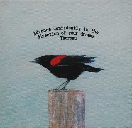 Red Winged Bird
