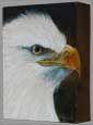 Eagle Eye