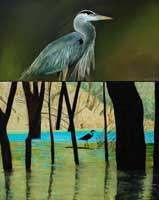 Heron Woods I