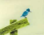 On The Precipice