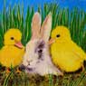 The Rabbit Sitter