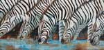 Too Many Stripes