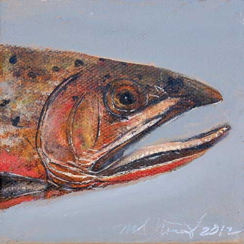 Cutthroat Trout I