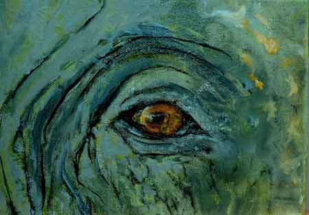 Elephant Eye I