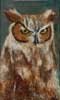 Great Horned Owl