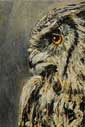 Owl I