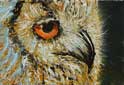 Owl II