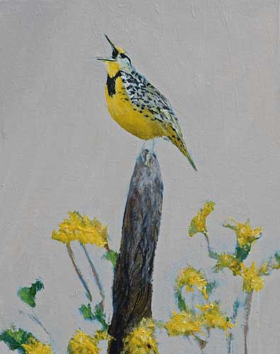 Western Meadowlark