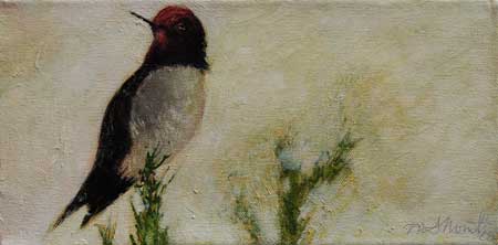 Anna's Hummingbird