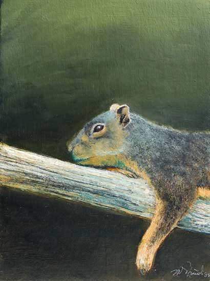 Lounging Squirrel I