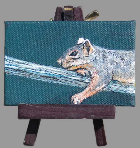Lounging Squirrel