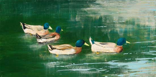 Mallards