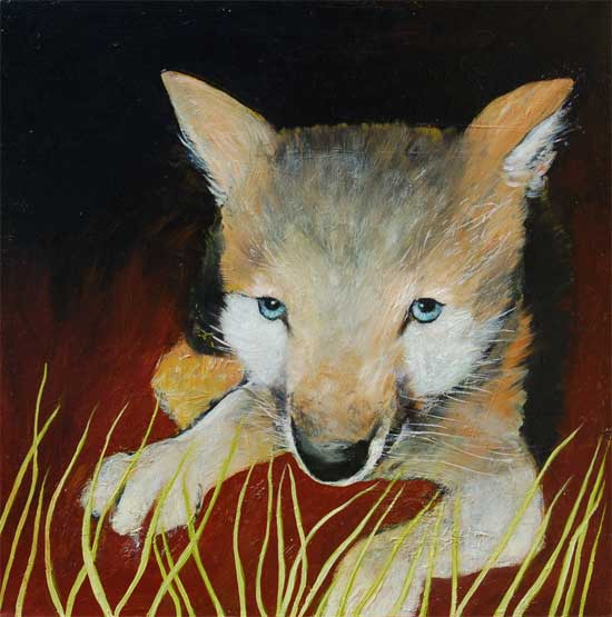 Wolf Pup